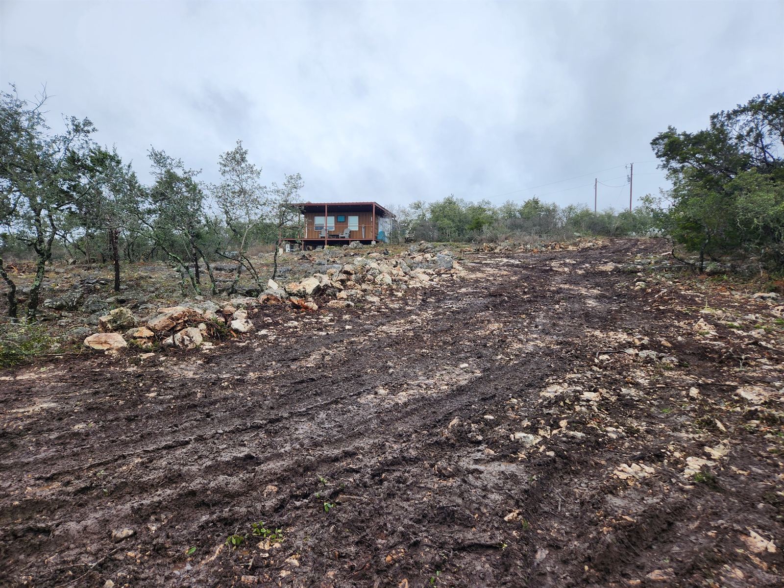 Property before clearing, overgrown with brush
