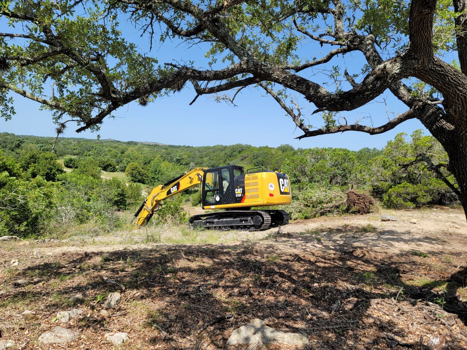 CAT 316F excavator clearing brush beneath a live oak